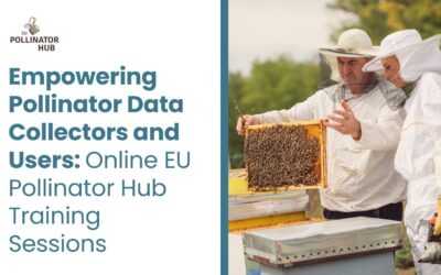 Empowering Pollinator Data Collectors and Users: Online EU Pollinator Hub Training Sessions