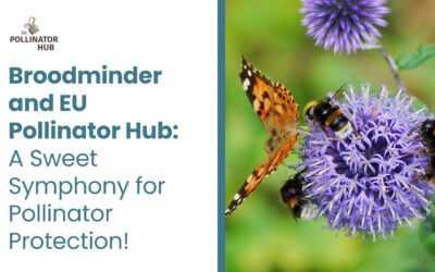 Broodminder and EU Pollinator Hub: A Sweet Symphony for Pollinator Protection! 