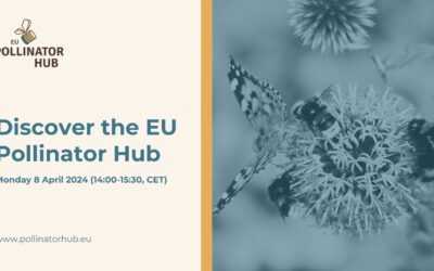 Discover the EU Pollinator Hub – Launch Event April 8 2024