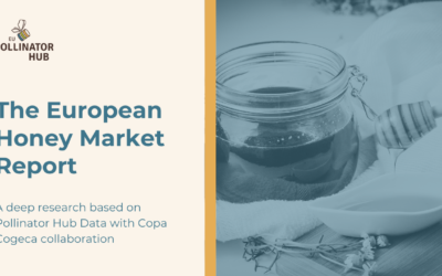 The European Honey Market Report – A deep research based on Pollinator Hub Data with Copa Cogeca collaboration